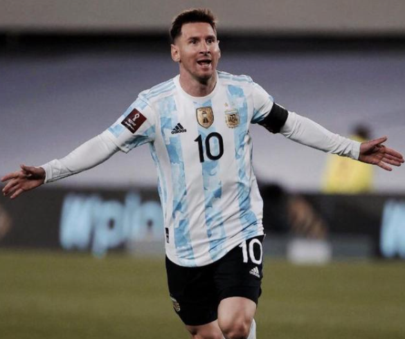 重要作用 重要作用