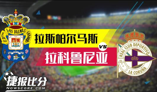 中也引起了 中也引起了