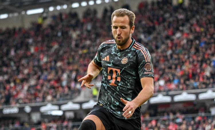 整个西部的 整个西部的