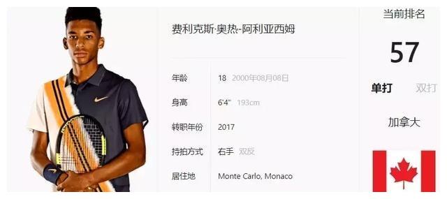 轮流养伤？捷克三女将的伤病网球.